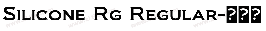 Silicone Rg Regular字体转换